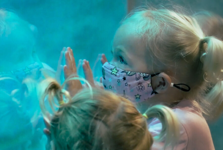 DOLPHIN_EXPERIENCE