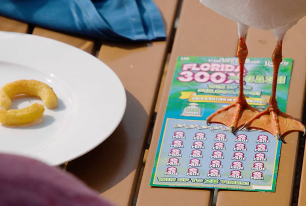 Florida_300X_Cash_COVER